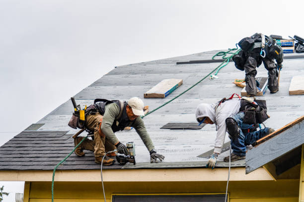 Professional Flat Roof Repair technician working in Martin, GA